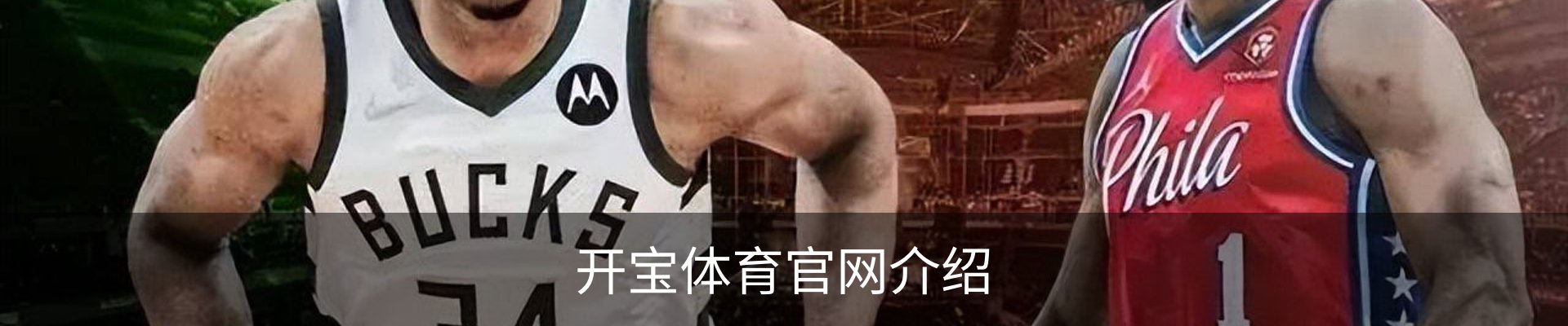 开宝体育官网介绍