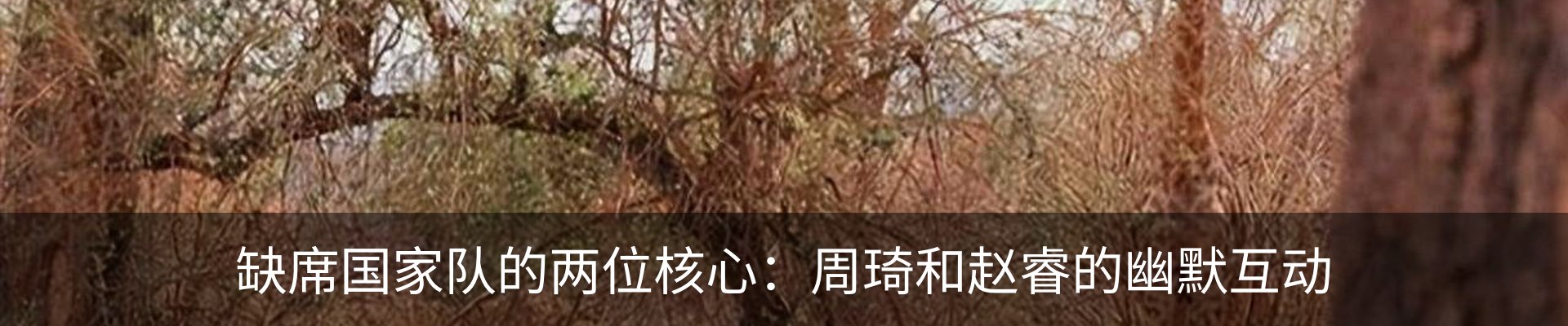最新动态