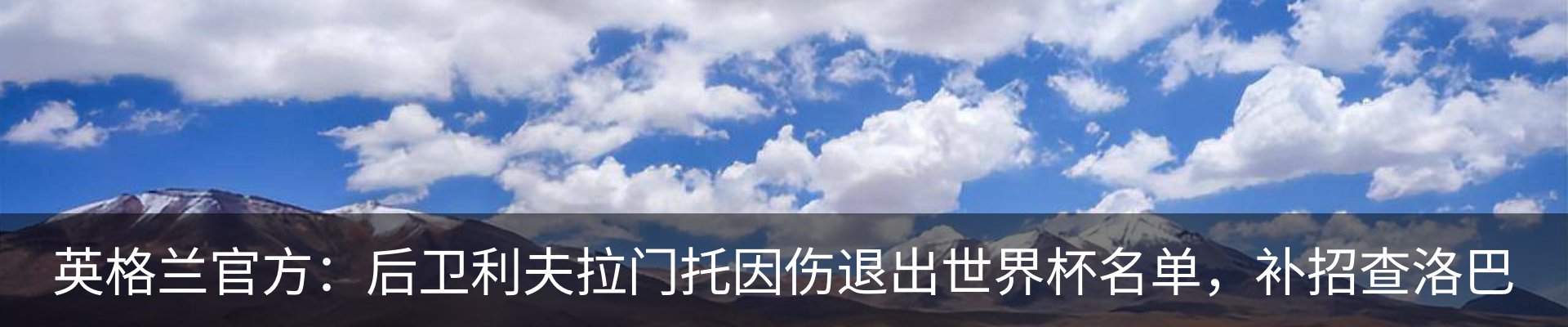 最新动态